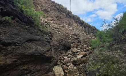 El Barranco Real de Telde sepultado por las obras de la planta fotovoltaica “La Herradura”