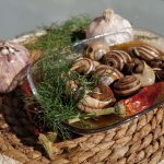 Agüimes revive la tradición del caracol en la plaza del Rosario