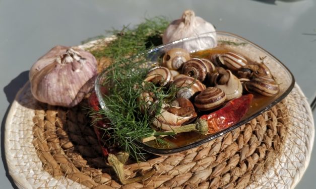 Agüimes revive la tradición del caracol en la plaza del Rosario