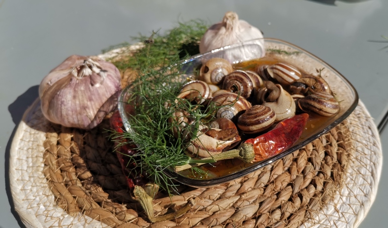 Agüimes revive la tradición del caracol en la plaza del Rosario