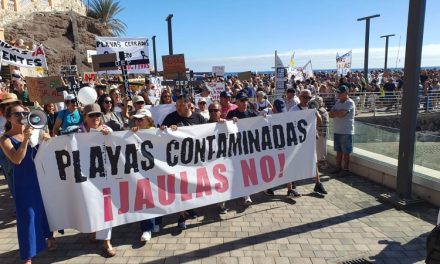 Nueva Canarias Telde denuncia la inacción de las autoridades implicadas —Gobierno de Telde y Gobierno de Canarias— ante la grave situación de contaminación que afecta al litoral