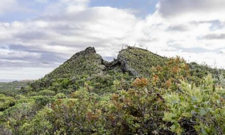 Turcón lleva a la Fiscalía Provincial de Medio Ambiente, la extracción de picón en la Montaña Rajada de Jinámar