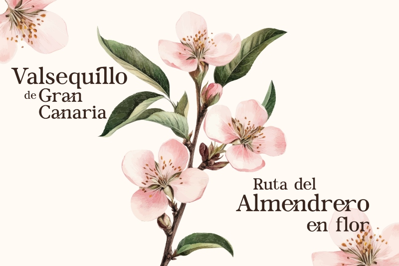 Valsequillo florece en  la 53ª Ruta del Almendrero en Flor
