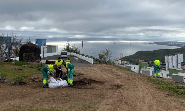 Parques y Jardines renaturaliza el mirador de El Lasso