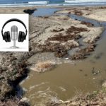 Escucha lo que nadie se atreve a contar sobre el verdadero motivo de la contaminación en la costa de Telde en “La hora de la verdad” de Ondaguanche