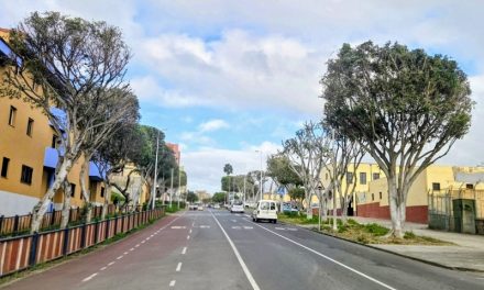El área de Parques y Jardines de Telde intensifica las labores de mantenimiento y poda en la calle Manuel Alemán Álamo y Eucaliptos I
