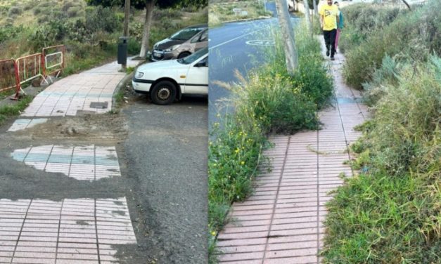 NC Telde denuncia la existencia de aceras intransitables por falta de limpieza en numerosos barrios