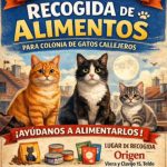“Origen” pone en marcha una campaña de recogida de alimentos para las colonias de gatos callejeros