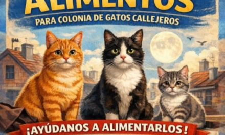 “Origen” pone en marcha una campaña de recogida de alimentos para las colonias de gatos callejeros