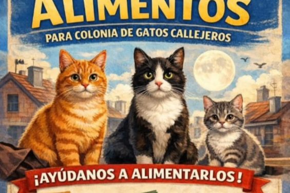“Origen” pone en marcha una campaña de recogida de alimentos para las colonias de gatos callejeros