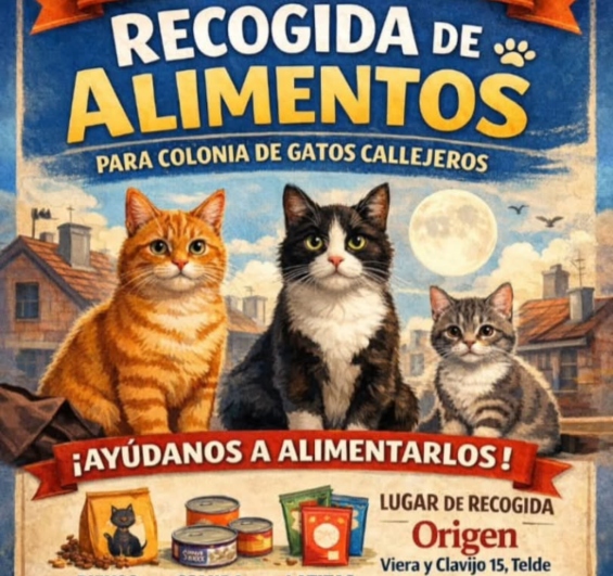 “Origen” pone en marcha una campaña de recogida de alimentos para las colonias de gatos callejeros