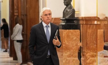 Carlos Sánchez, el elegido: El PP de Gran Canaria sigue en modo “gestora y amigos”