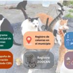 𝗥𝗲𝘂𝗻𝗶𝗼́𝗻 𝗶𝗻𝗳𝗼𝗿𝗺𝗮𝘁𝗶𝘃𝗮 𝘀𝗼𝗯𝗿𝗲 𝗹𝗮 𝗴𝗲𝘀𝘁𝗶𝗼́𝗻 𝗲́𝘁𝗶𝗰𝗮 𝗱𝗲 𝗰𝗼𝗹𝗼𝗻𝗶𝗮𝘀 𝗳𝗲𝗹𝗶𝗻𝗮𝘀 𝗲𝗻 𝗩𝗮𝗹𝘀𝗲𝗾𝘂𝗶𝗹𝗹𝗼