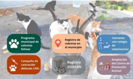 𝗥𝗲𝘂𝗻𝗶𝗼́𝗻 𝗶𝗻𝗳𝗼𝗿𝗺𝗮𝘁𝗶𝘃𝗮 𝘀𝗼𝗯𝗿𝗲 𝗹𝗮 𝗴𝗲𝘀𝘁𝗶𝗼́𝗻 𝗲́𝘁𝗶𝗰𝗮 𝗱𝗲 𝗰𝗼𝗹𝗼𝗻𝗶𝗮𝘀 𝗳𝗲𝗹𝗶𝗻𝗮𝘀 𝗲𝗻 𝗩𝗮𝗹𝘀𝗲𝗾𝘂𝗶𝗹𝗹𝗼