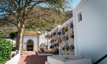 El Ayuntamiento de La Laguna habilitará 120 nuevos nichos en el cementerio de Valle de Guerra