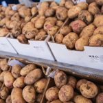 Valsequillo celebrará el próximo domingo  la Feria de la Papa y el Millo