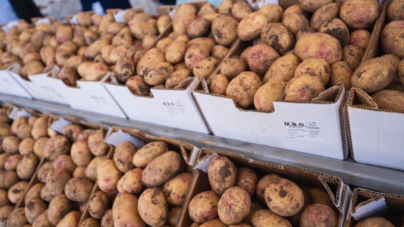 Valsequillo celebrará el próximo domingo  la Feria de la Papa y el Millo