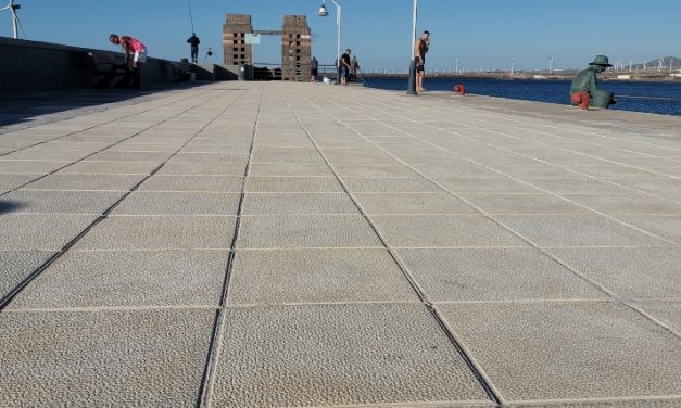 Finalizan las obras de mantenimiento del Muelle de Arinaga y se instalan las plataformas