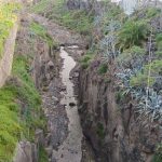Bajan  aguas fecales por el Barranco Real de Telde desde hace una semana