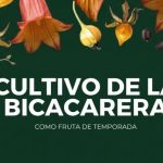 El Ciclo Mujer y Medio Ambiente invita a Isabel Hidalgo a difundir los valores de «El cultivo de la Bicacarera: como fruta de temporada»