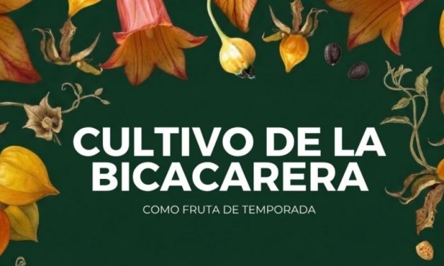 El Ciclo Mujer y Medio Ambiente invita a Isabel Hidalgo a difundir los valores de «El cultivo de la Bicacarera: como fruta de temporada»