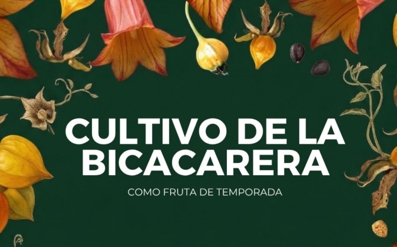 El Ciclo Mujer y Medio Ambiente invita a Isabel Hidalgo a difundir los valores de «El cultivo de la Bicacarera: como fruta de temporada»
