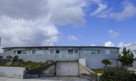 Gran Canaria tendrá en Taliarte,  (Telde), un nuevo centro de recuperación de tortugas, aves marinas y cetáceos