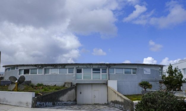 Gran Canaria tendrá en Taliarte,  (Telde), un nuevo centro de recuperación de tortugas, aves marinas y cetáceos