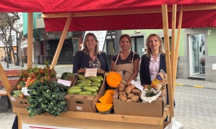 Telde celebra  las II Jornadas del Berro con  un Mercadito Agrícola en la plaza de San Gregorio