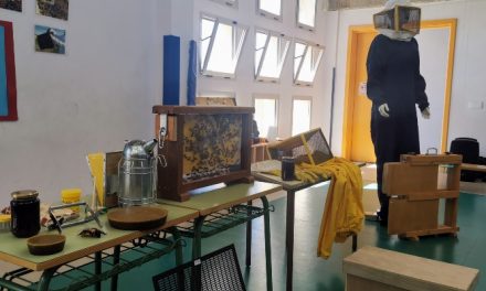 El alumnado del CEIP Montaña de Los Vélez (Agüimes) aprende sobre el fascinante mundo de las abejas