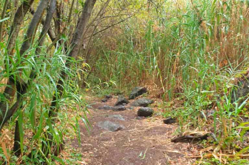 Turcón solicita al Área de Medio Ambiente del Cabildo de Gran Canaria el arreglo  del camino del Barranco de Los Cernícalos