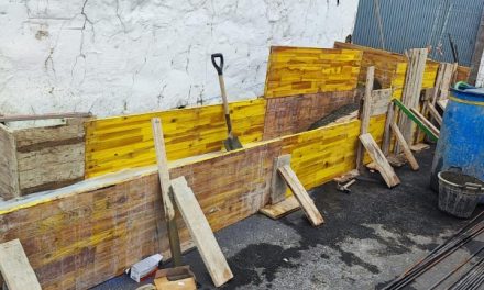 ASBA-Primero Canarias solicita la paralización cautelar de las obras en Rincón de Tenteniguada