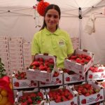 Éxito organizativo  de la XI Feria de la Fresa en Valsequillo