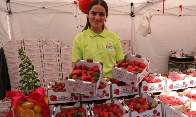 Éxito organizativo  de la XI Feria de la Fresa en Valsequillo