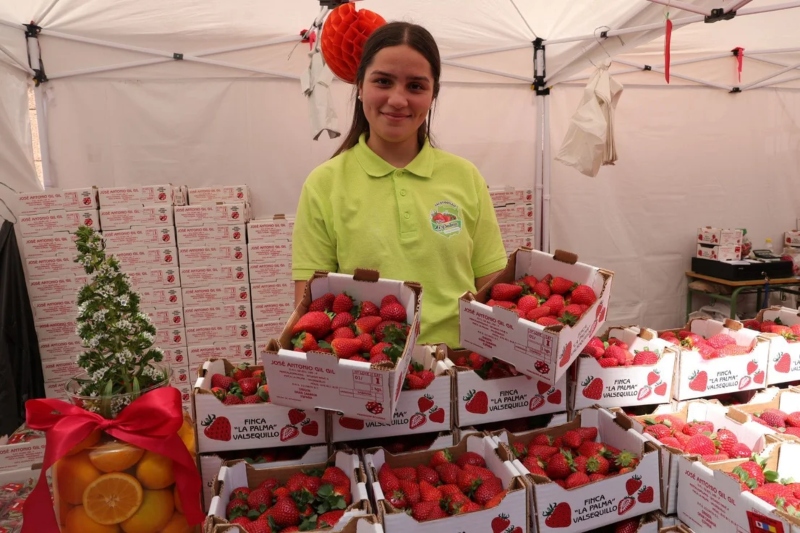 Éxito organizativo  de la XI Feria de la Fresa en Valsequillo