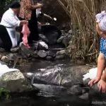 Valsequillo rescata la memoria de sus lavaderos con las rutas teatralizadas «Entre agua y jabón» para escolares