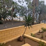El Ayuntamiento de Las Palmas abre una nueva área canina en Zárate tras una inversión de 70.000 euros
