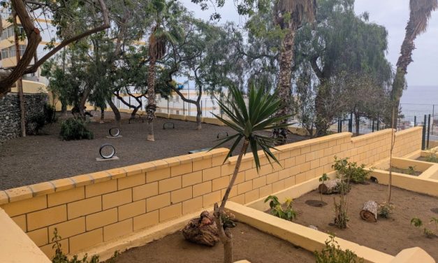 El Ayuntamiento de Las Palmas abre una nueva área canina en Zárate tras una inversión de 70.000 euros