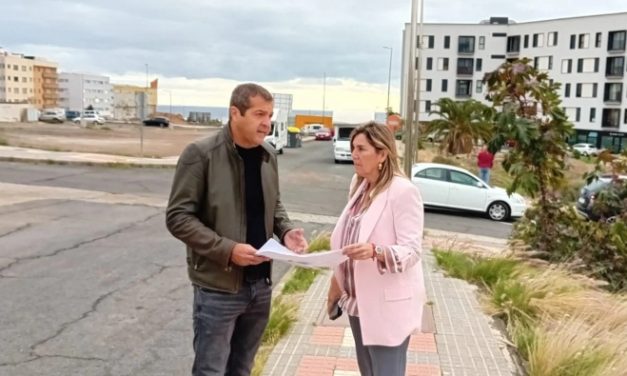 La concejala del Distrito Costa intenta cargar a Artiles concejal de Parques y Jardines la tala en Melenara proyectada por su compañero de partido Iván Sánchez