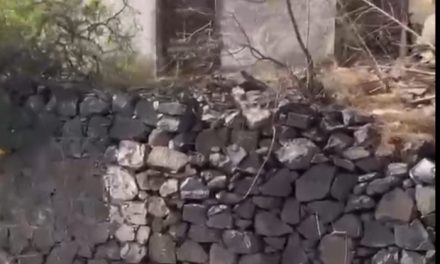 VOX Telde exige una actuación urgente ante el riesgo de derrumbe de un muro en el  barrio de El Ejido