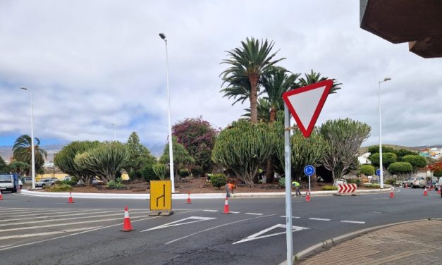 Parques y Jardines de Telde interviene de urgencia en la rotonda de El Roque por motivos de seguridad vial