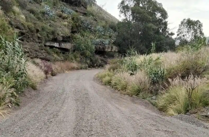 El Ayuntamiento de Las Palmas recupera el acceso al barranco de Las Goteras