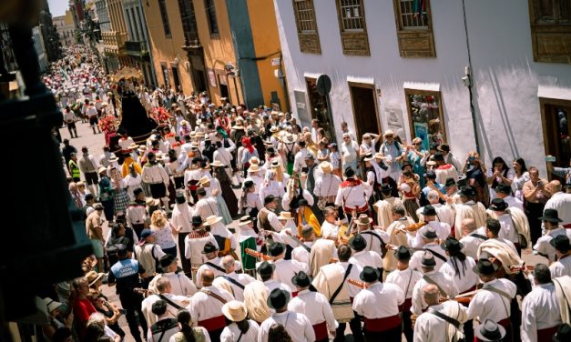 Más de 20.000 personas se congregan en La Laguna para disfrutar de la Romería de San Benito Abad 2026