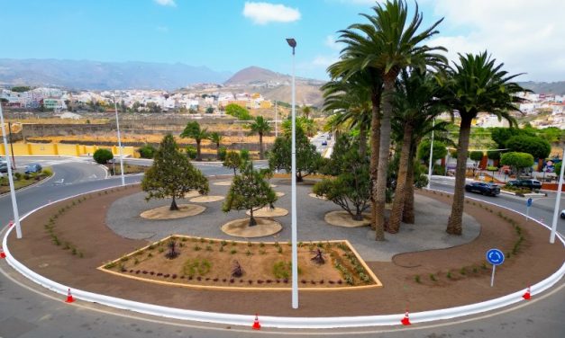 Parques y Jardines de Telde culmina la remodelación de la rotonda de El Roque con la plantación de 322 nuevas especies vegetales