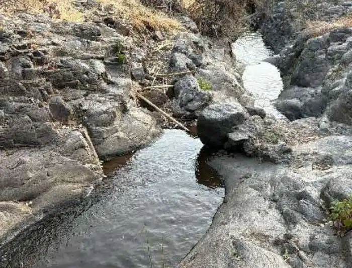 Turcón exige una gestión coordinada en el Barranco de Los Cernícalos (Telde)