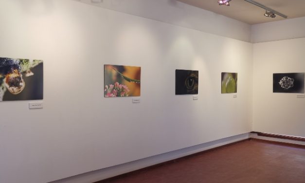 La exposición fotográfica ‘(Con) Macro’ invita a descubrir la belleza de lo diminuto en Agüimes