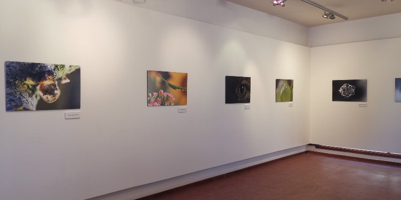 La exposición fotográfica ‘(Con) Macro’ invita a descubrir la belleza de lo diminuto en Agüimes