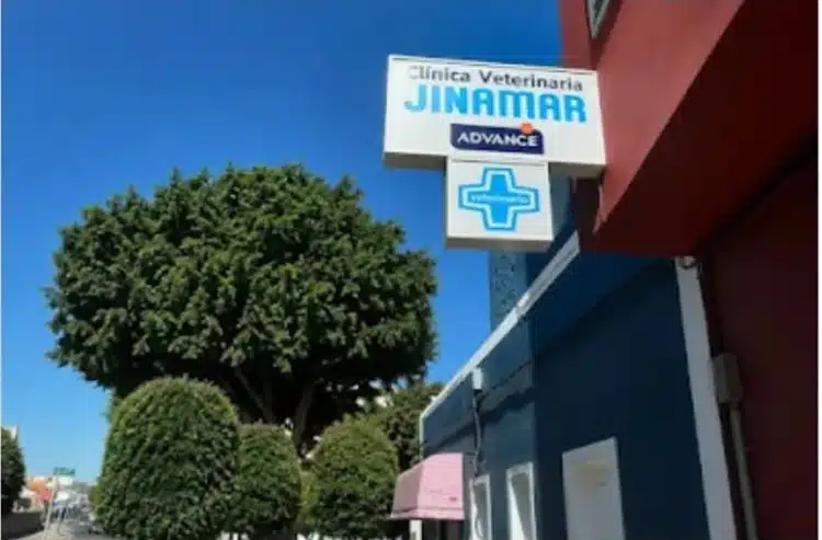 Clínica Veterinaria Jinámar, profesionalidad, cercanía y vocación al servicio de las mascotas