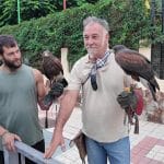 La cetrería se incorpora al control de palomas en la Villa de Ingenio
