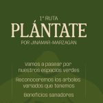 “Plántate por Jinámar-Marzagán”, arranca este jueves con una ruta por las zonas verdes